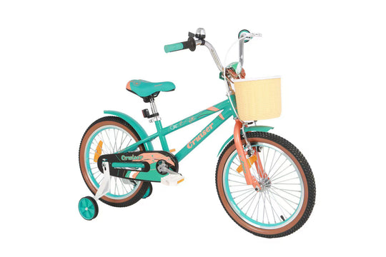 אופני BMX שכל ילד חולם עליהם!
